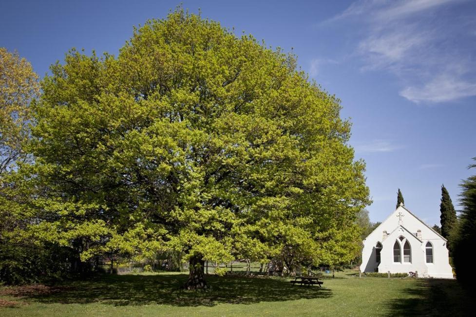 فيلا The Holy Oaks Duntroon المظهر الخارجي الصورة